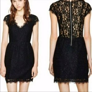 Aritzia Babaton Black Lace Cocktail Dress